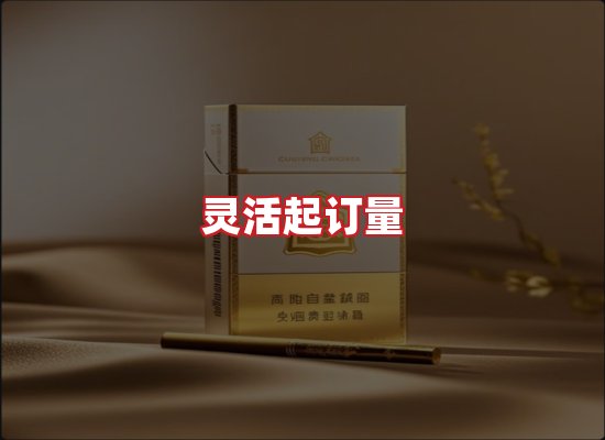 专业团队